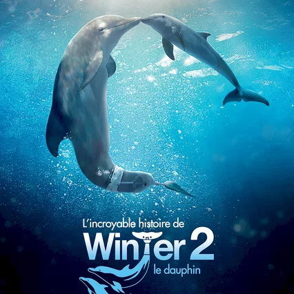 Miniature photo du film : L'Incroyable Histoire de Winter le dauphin 2 