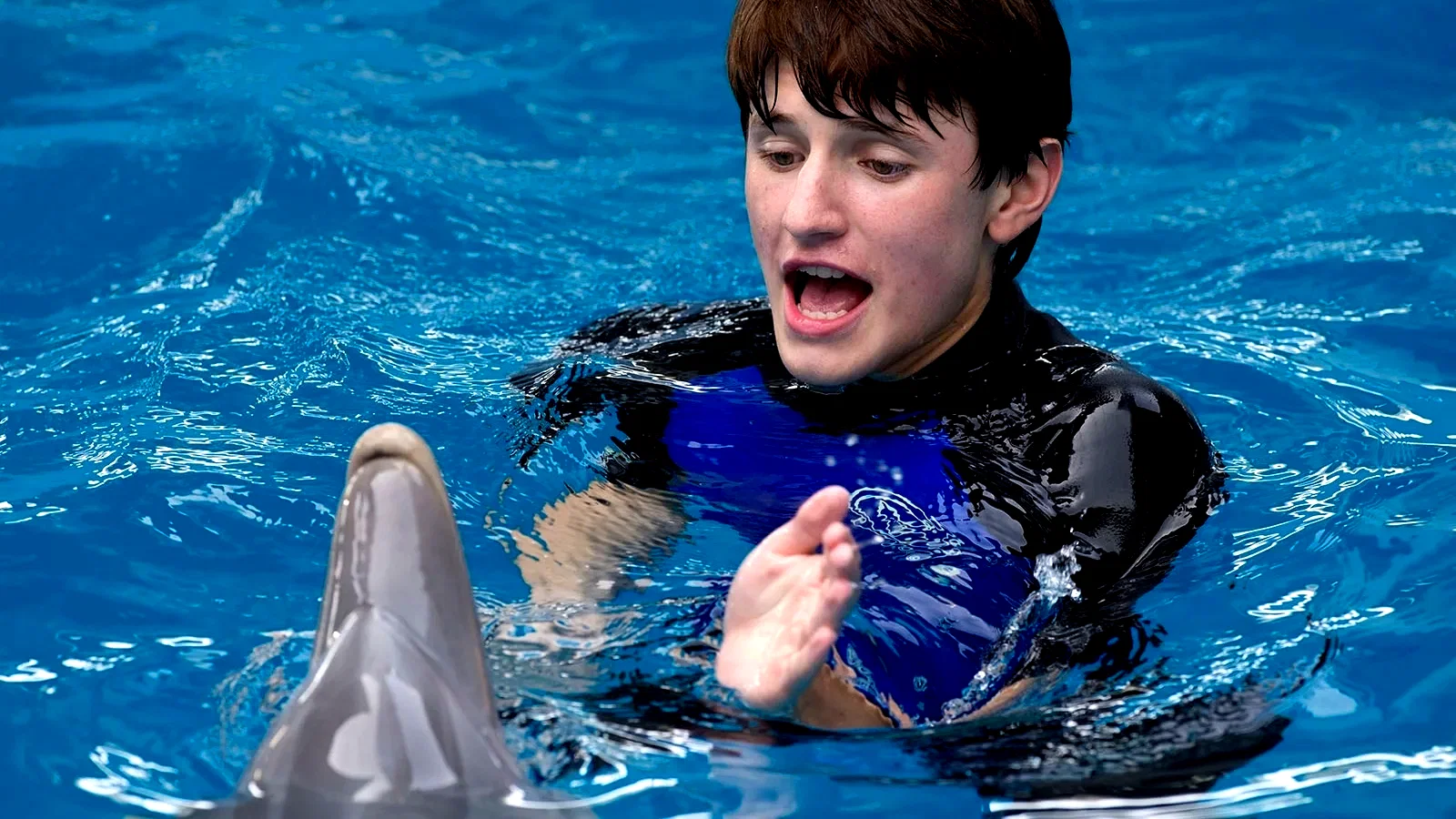 Photo du film : L'Incroyable Histoire de Winter le dauphin 2 