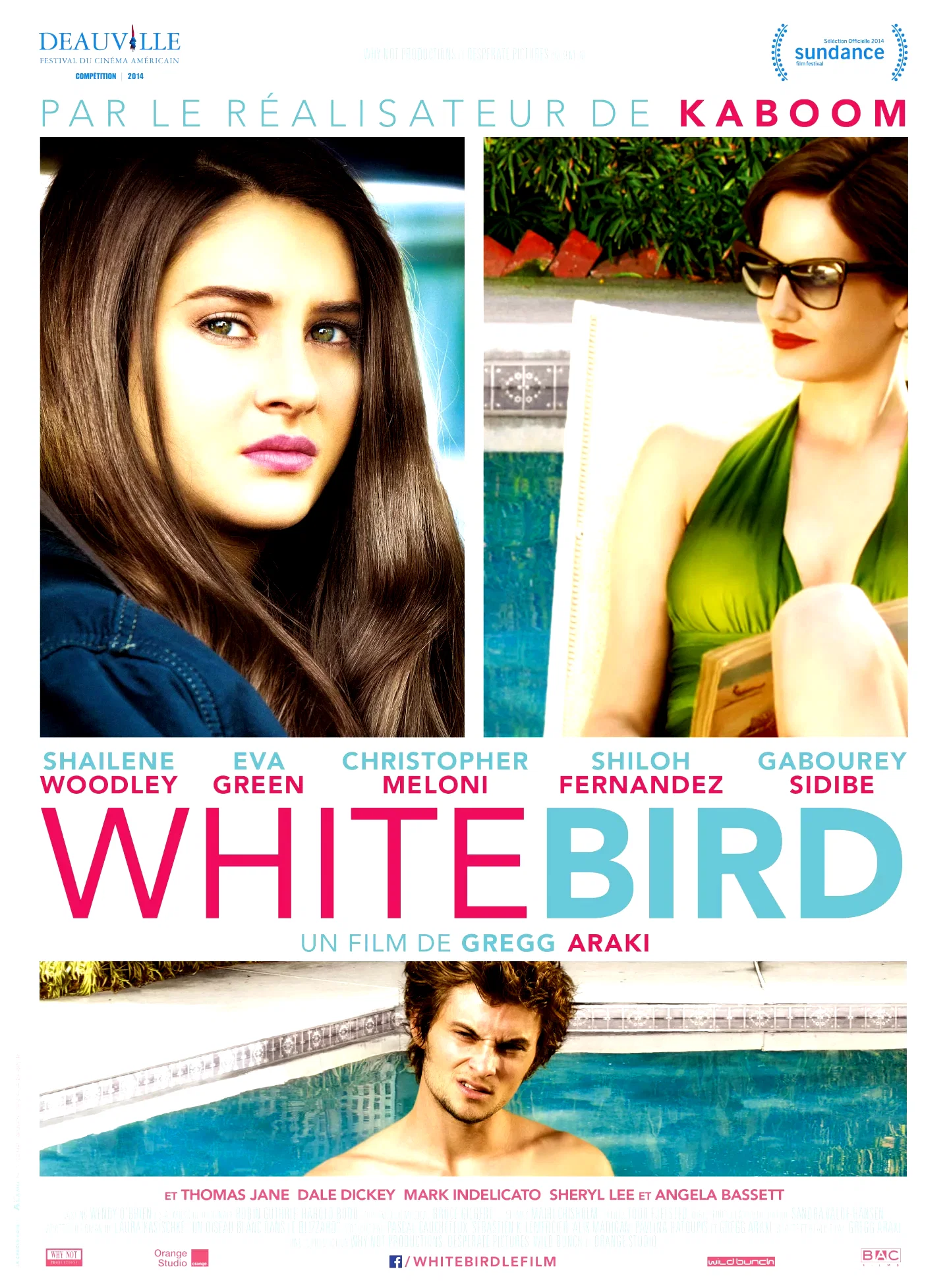 Affiche du film : White Bird