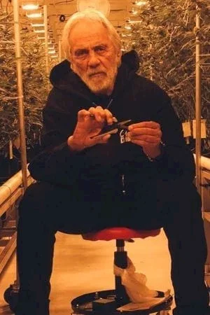  Tommy Chong photo