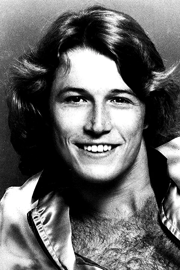  Andy Gibb