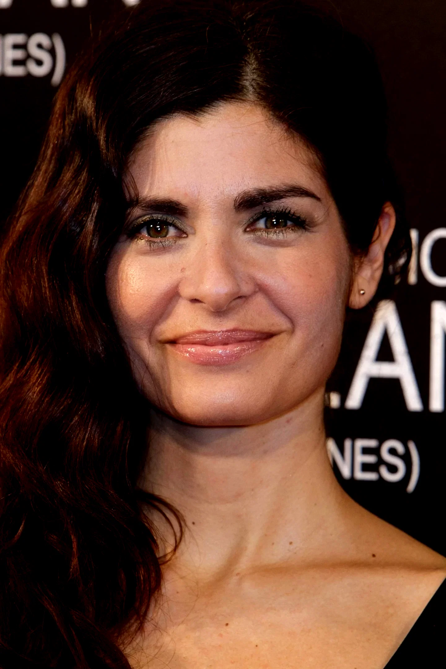 Soledad Villamil