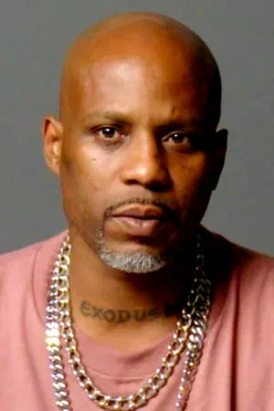  DMX