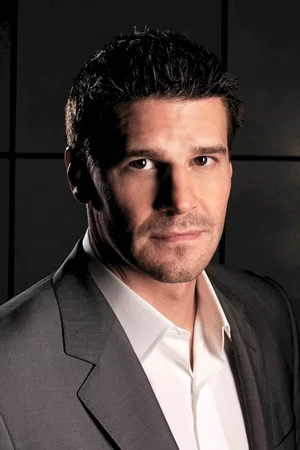  David Boreanaz photo