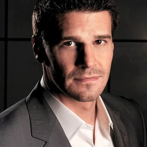 Photo star :  David Boreanaz