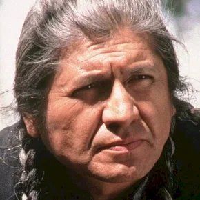 Photo star :  Gordon Tootoosis