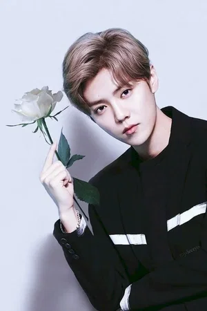  Lu Han