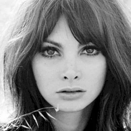  Toni Basil