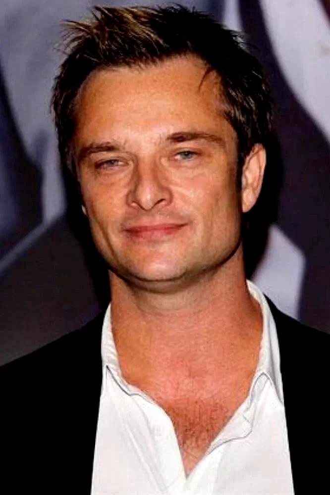  David Hallyday