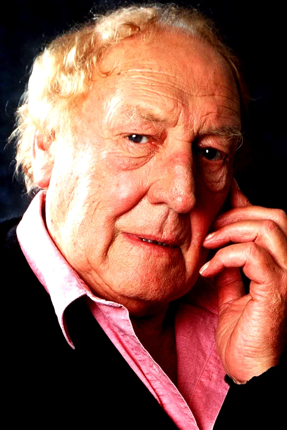 Georges Wilson