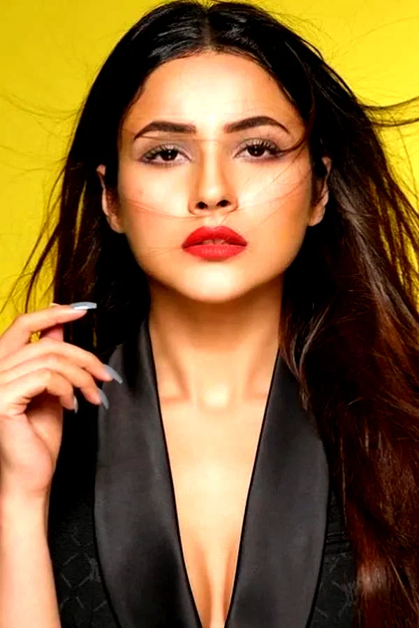  Shehnaaz Gill