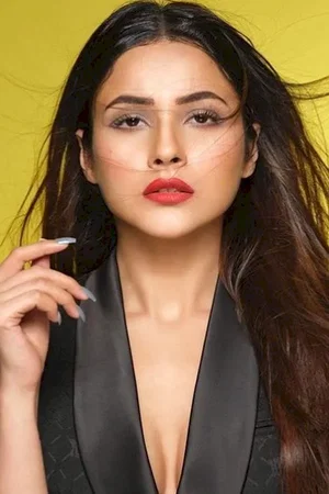  Shehnaaz Gill photo