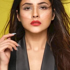 Photo star :  Shehnaaz Gill