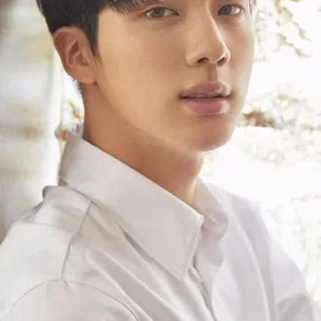 Photo star :  Kim Seok-jin