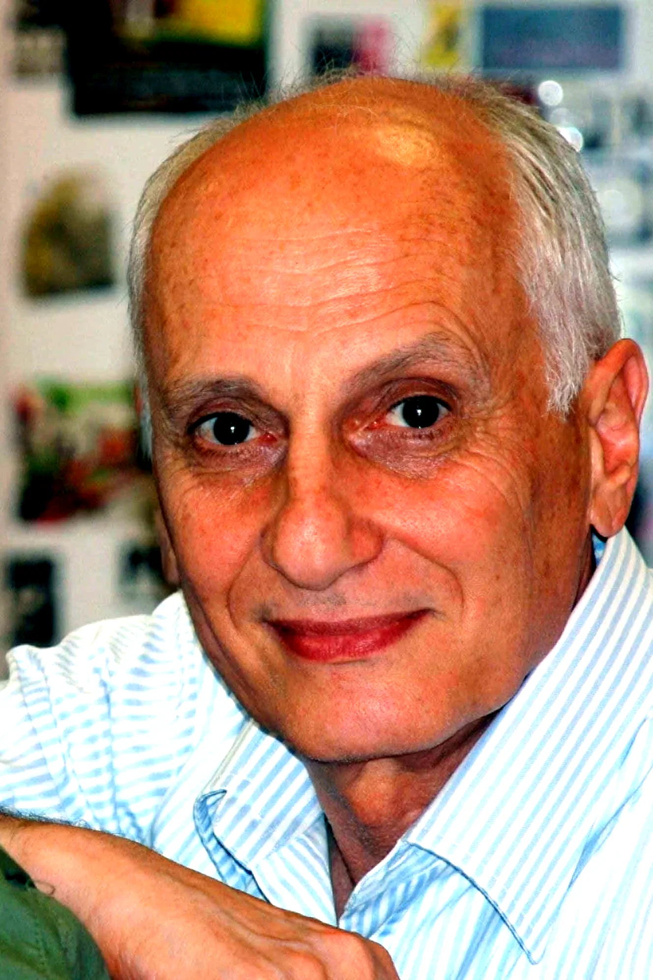 Michel Ocelot