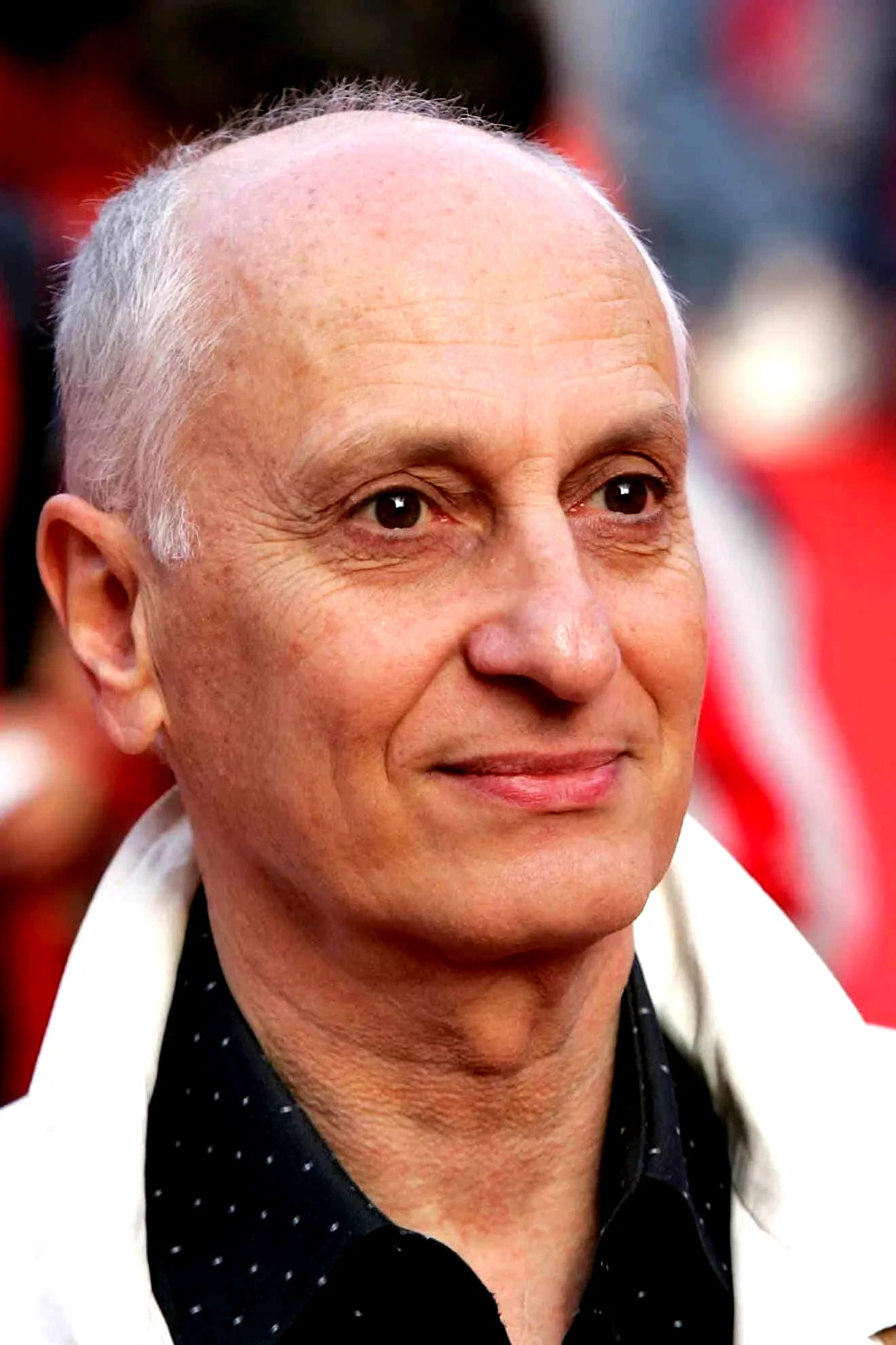 Michel Ocelot