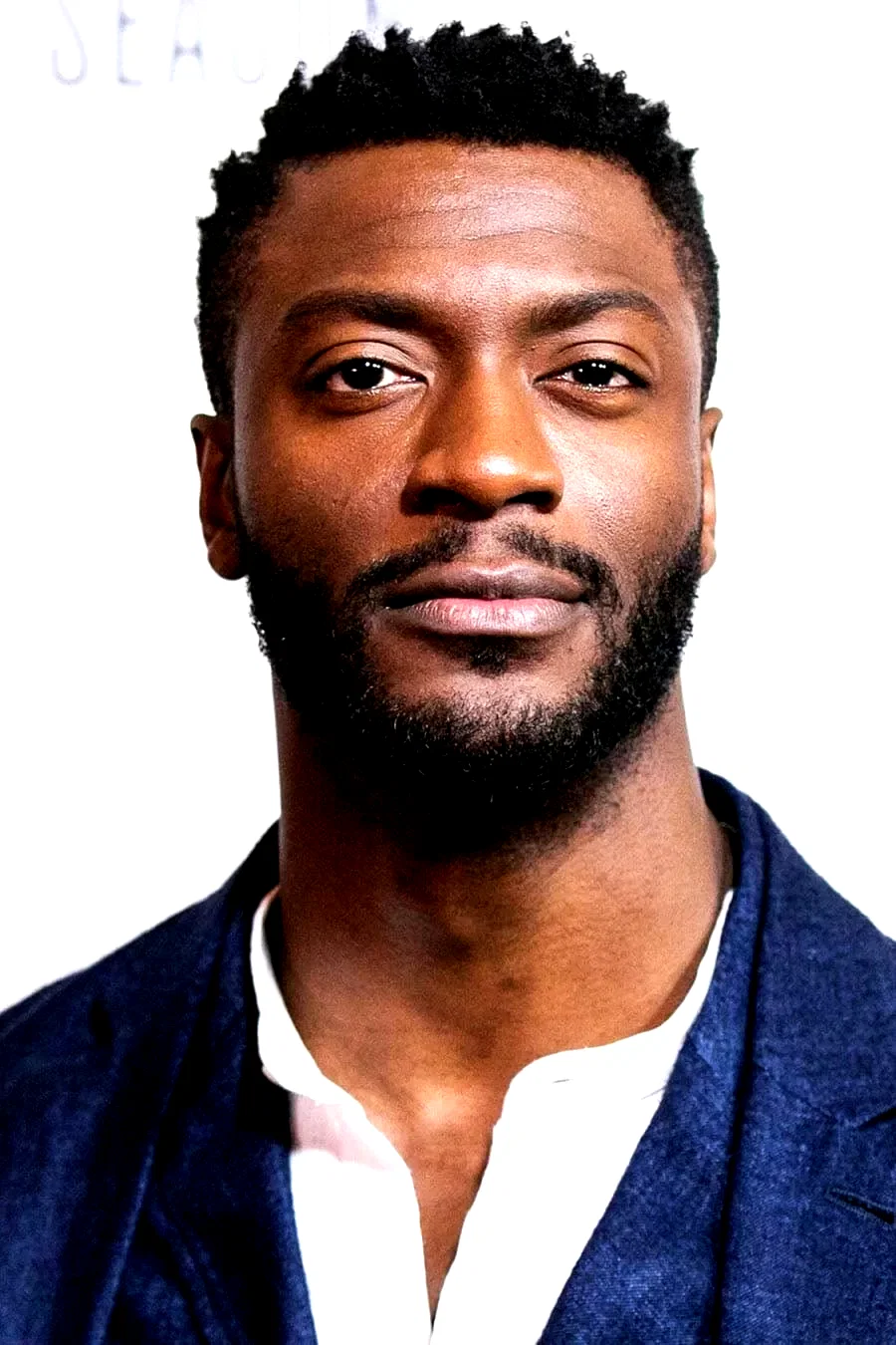 Aldis Hodge