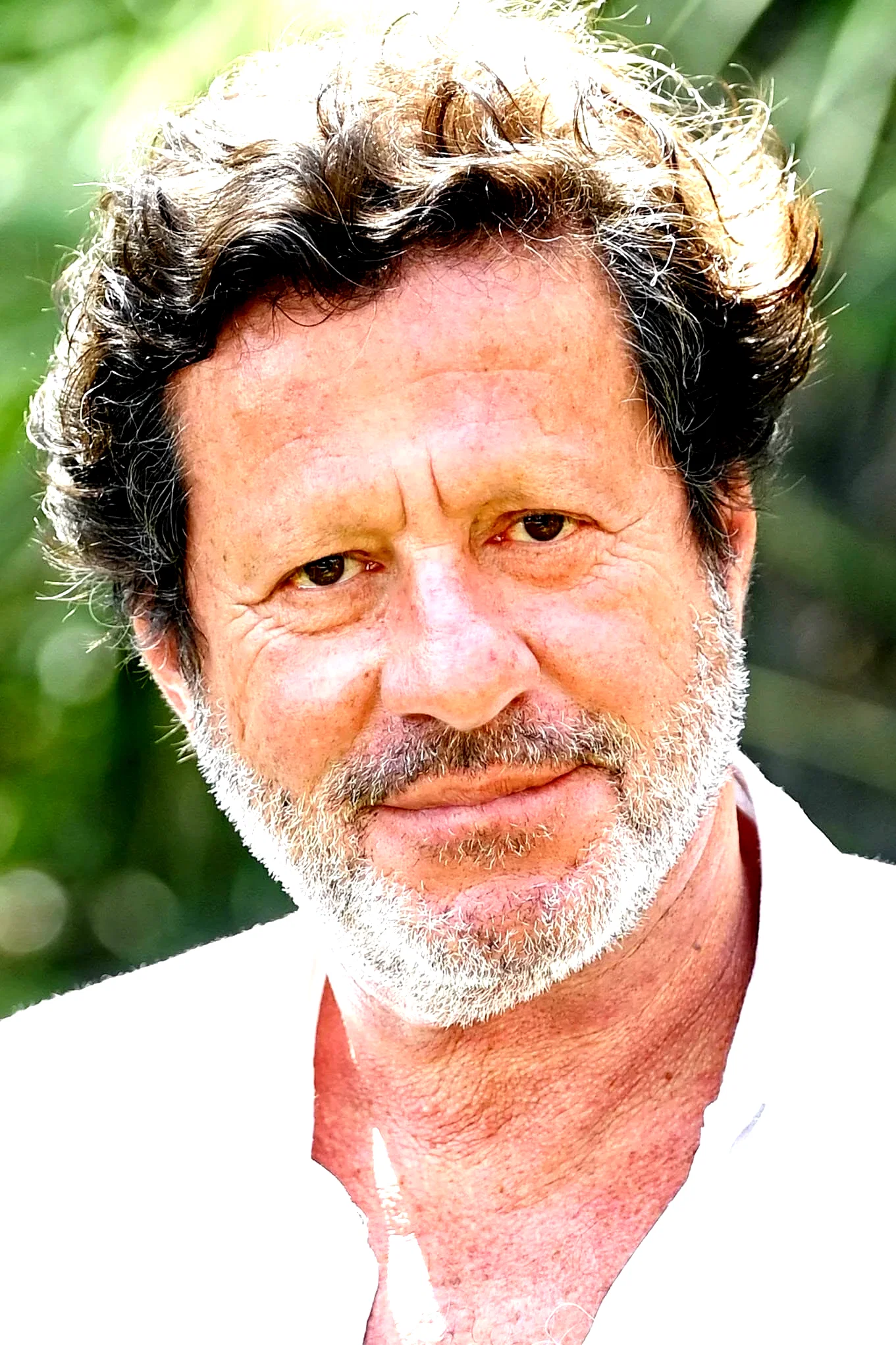 Joaquim De Almeida