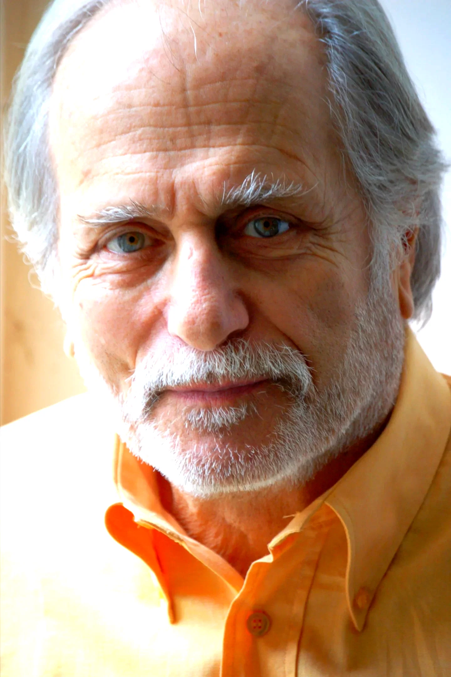 Luigi Diberti
