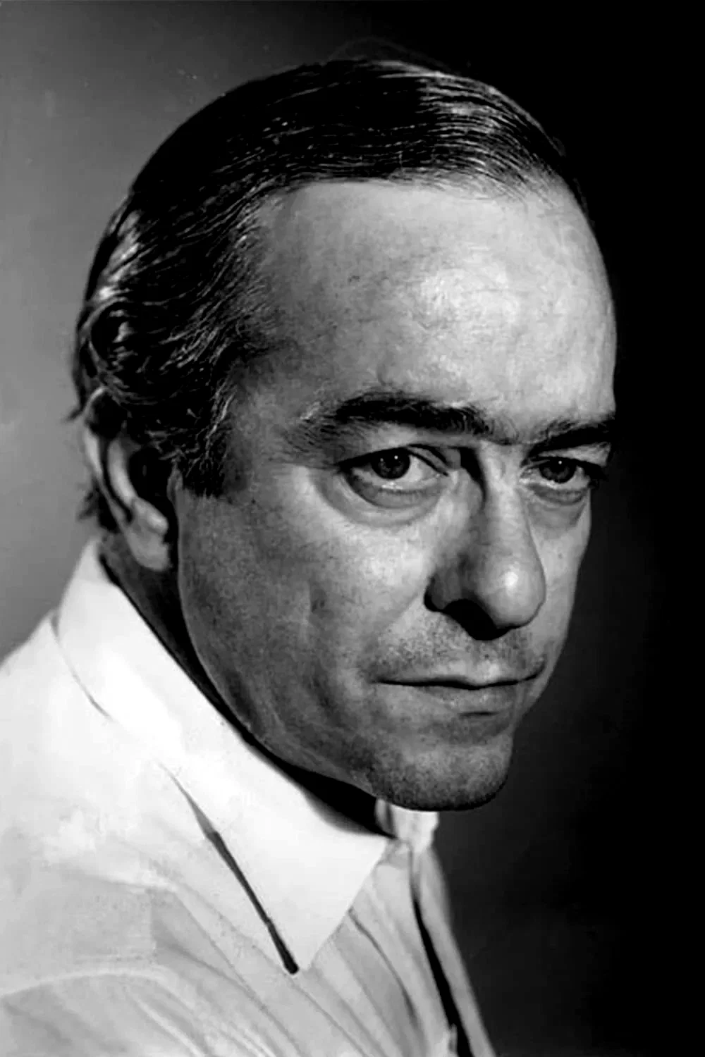  Vinicius de Moraes