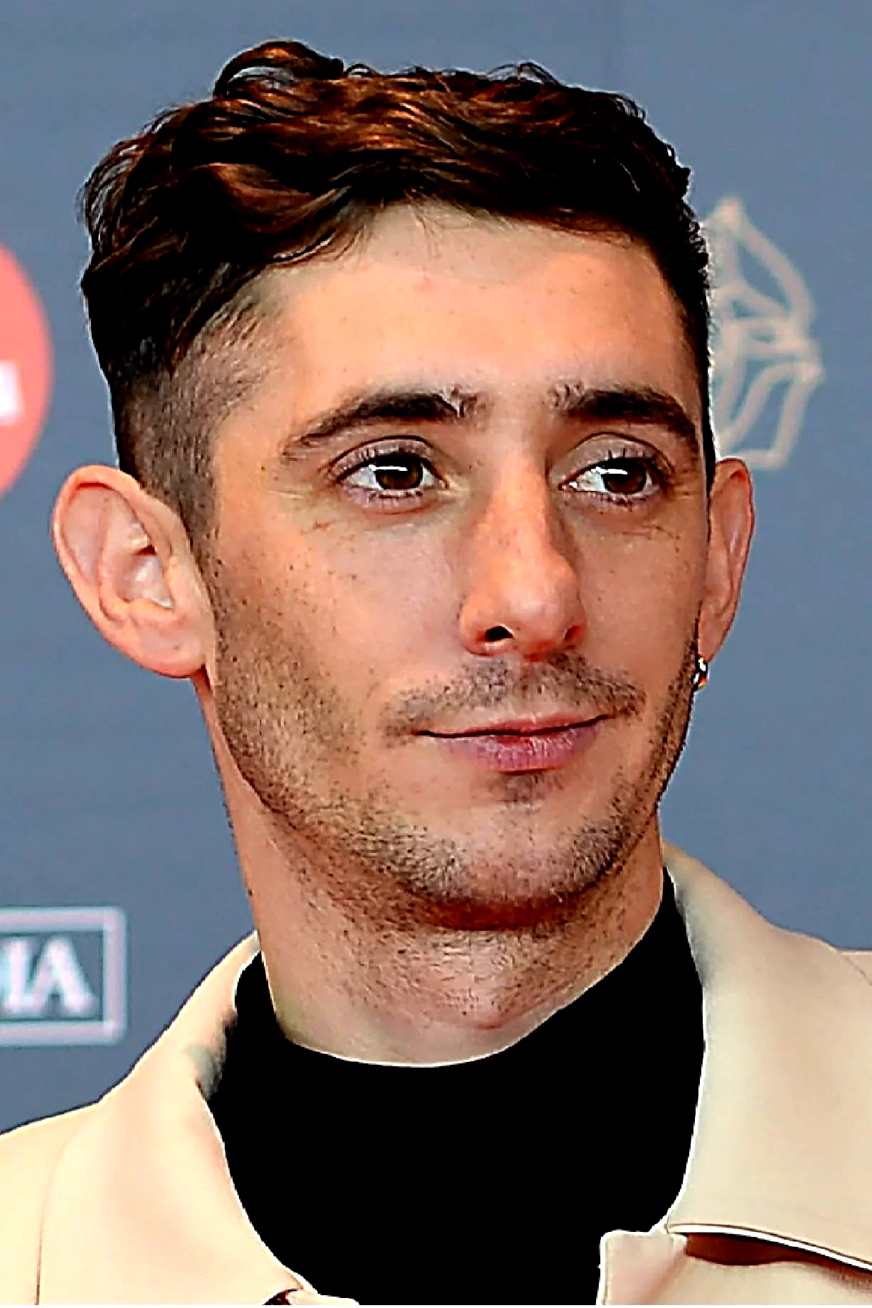  Enric Auquer