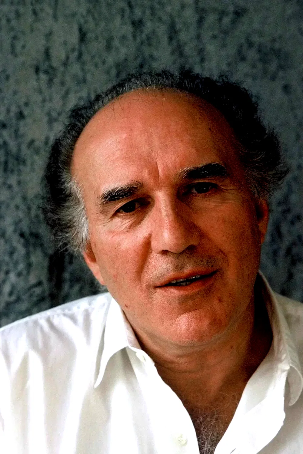 Michel Piccoli