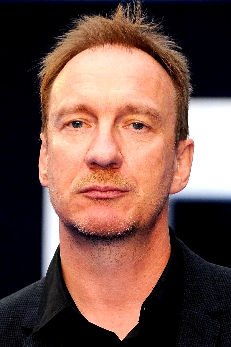 David Thewlis