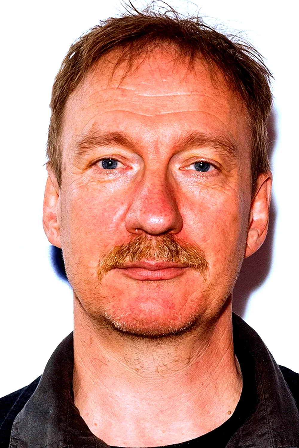 David Thewlis