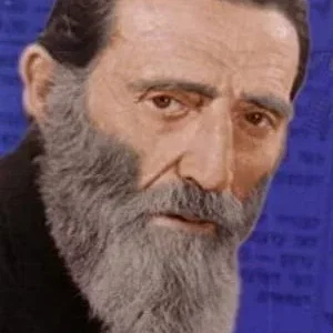 Zvee Scooler