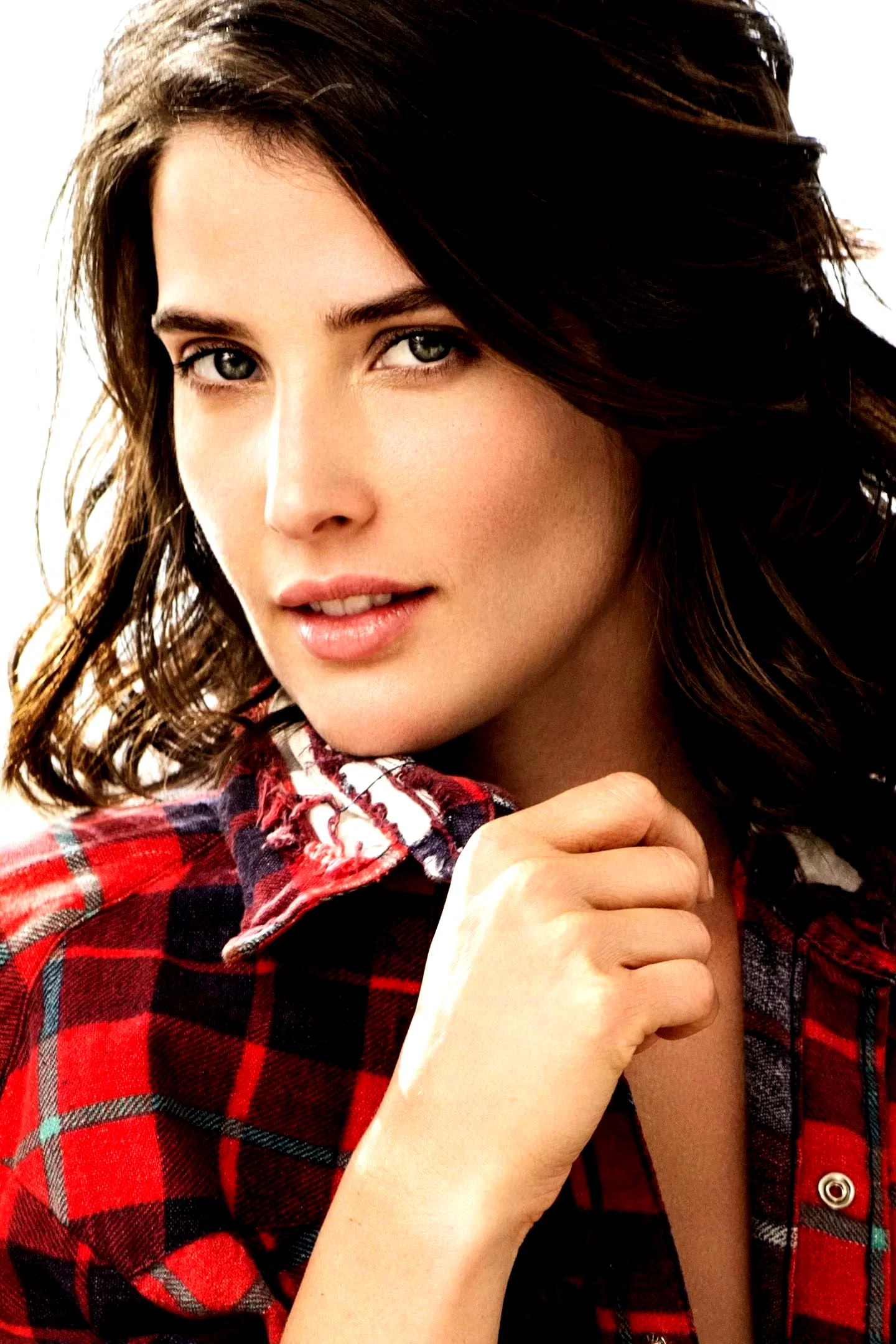 Cobie Smulders