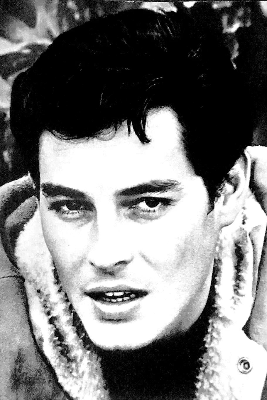 Fred Williams