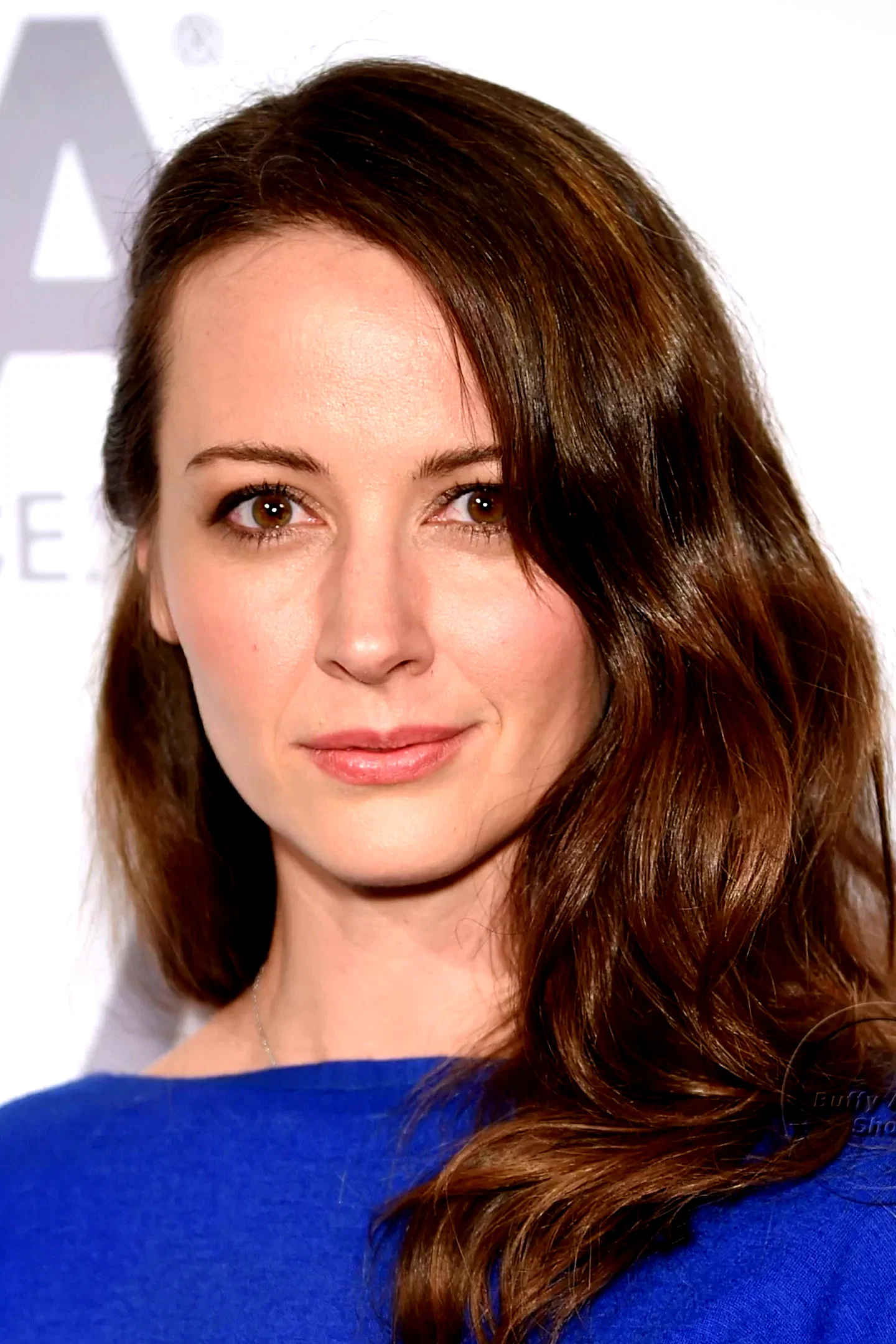 Amy Acker