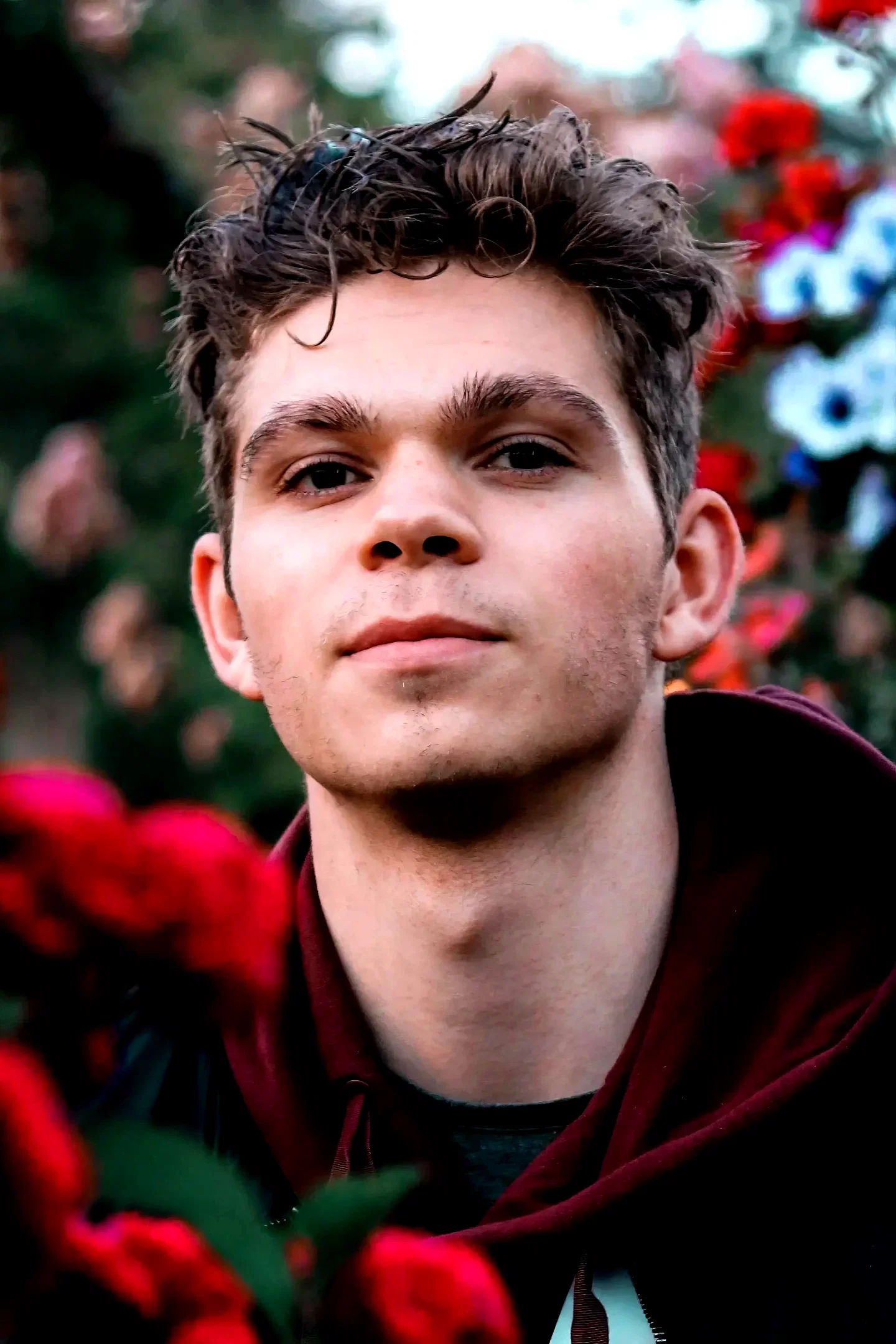  Daniel Diemer