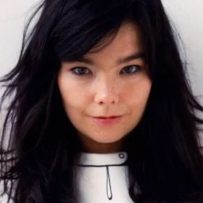 Photo star :  Björk