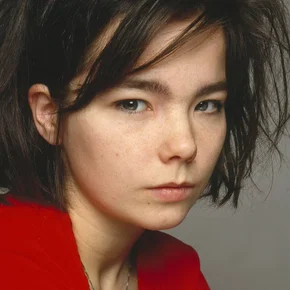 Photo star :  Björk