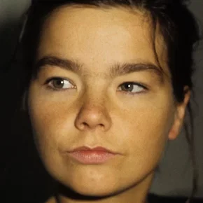 Photo star :  Björk