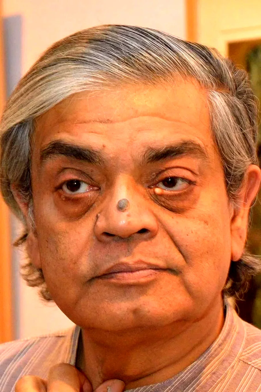 Sandip Ray