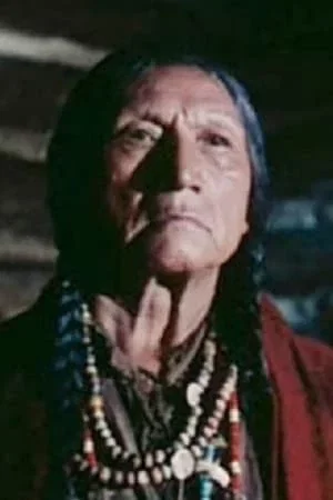  Chief John Big Tree photo