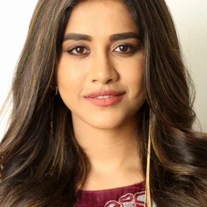 Photo star :  Nabha Natesh