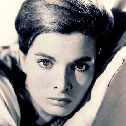  Scilla Gabel