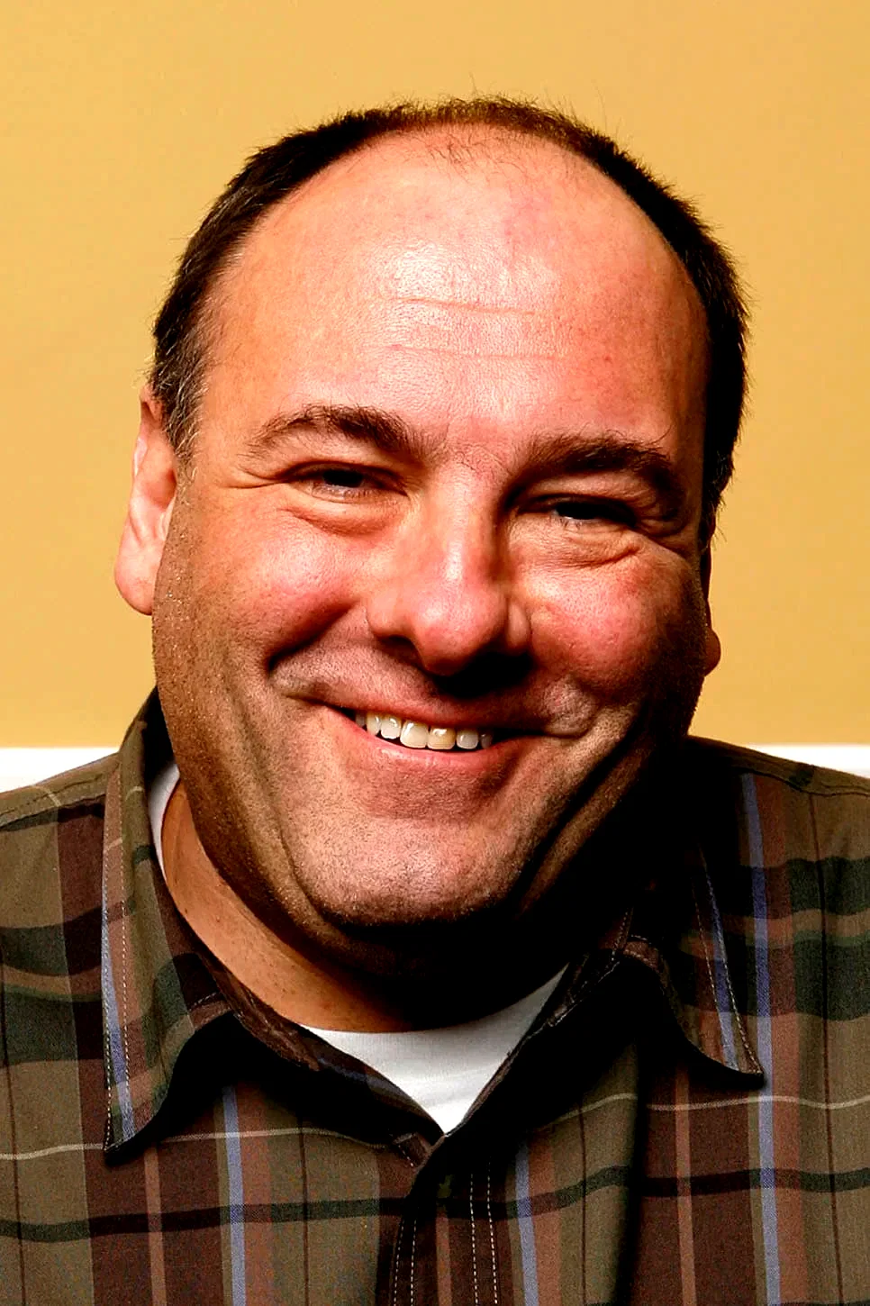 James Gandolfini