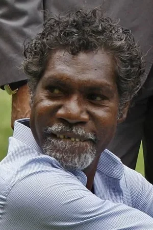David Ngoombujarra photo