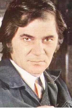  Ion Besoiu photo