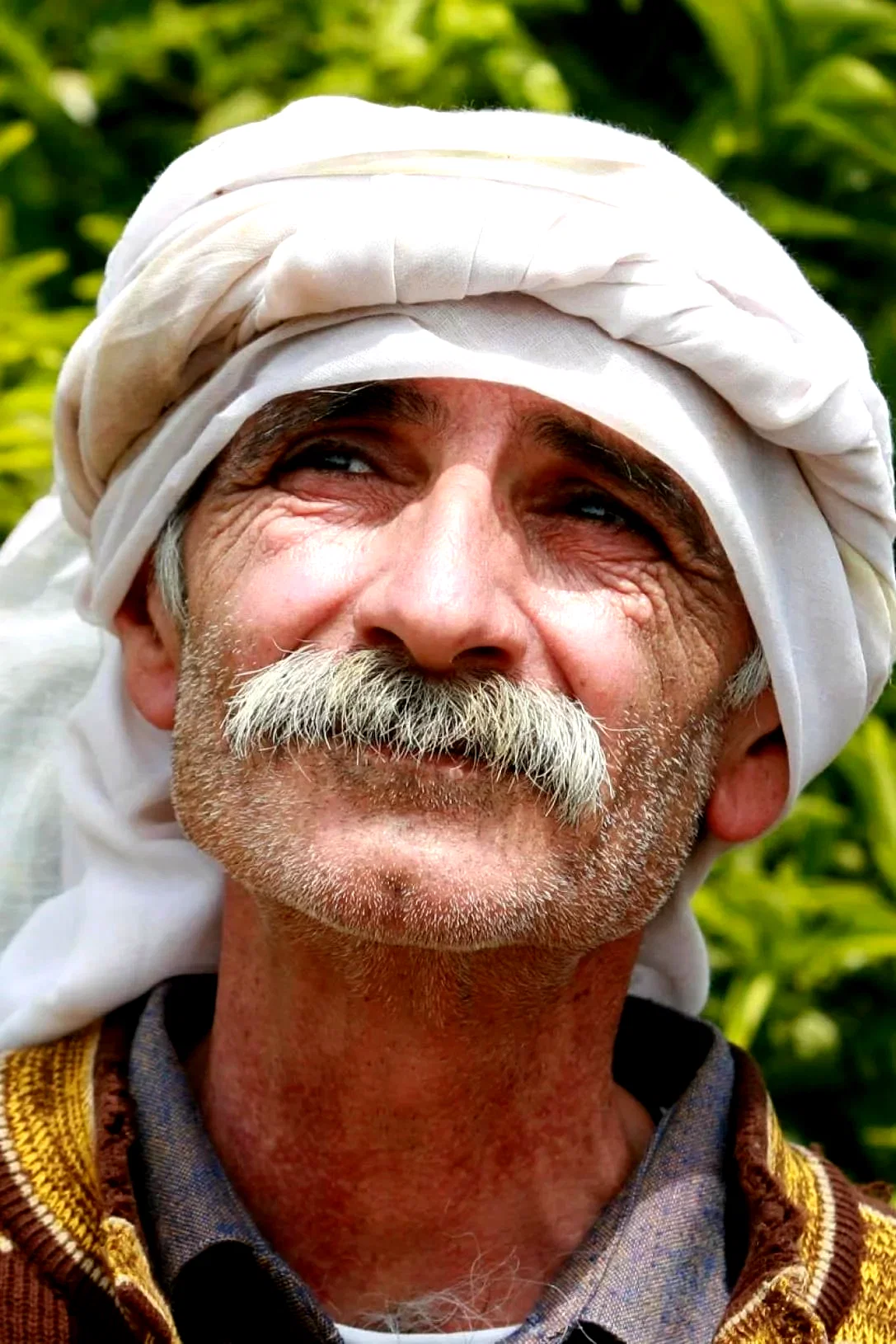 Tarak Kopty