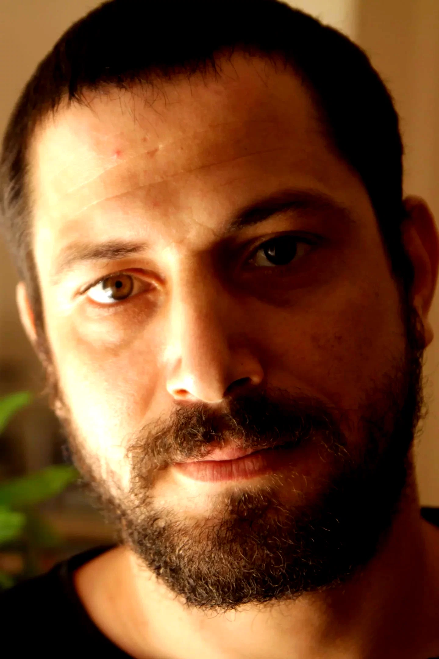  Tawfik Abu Wael
