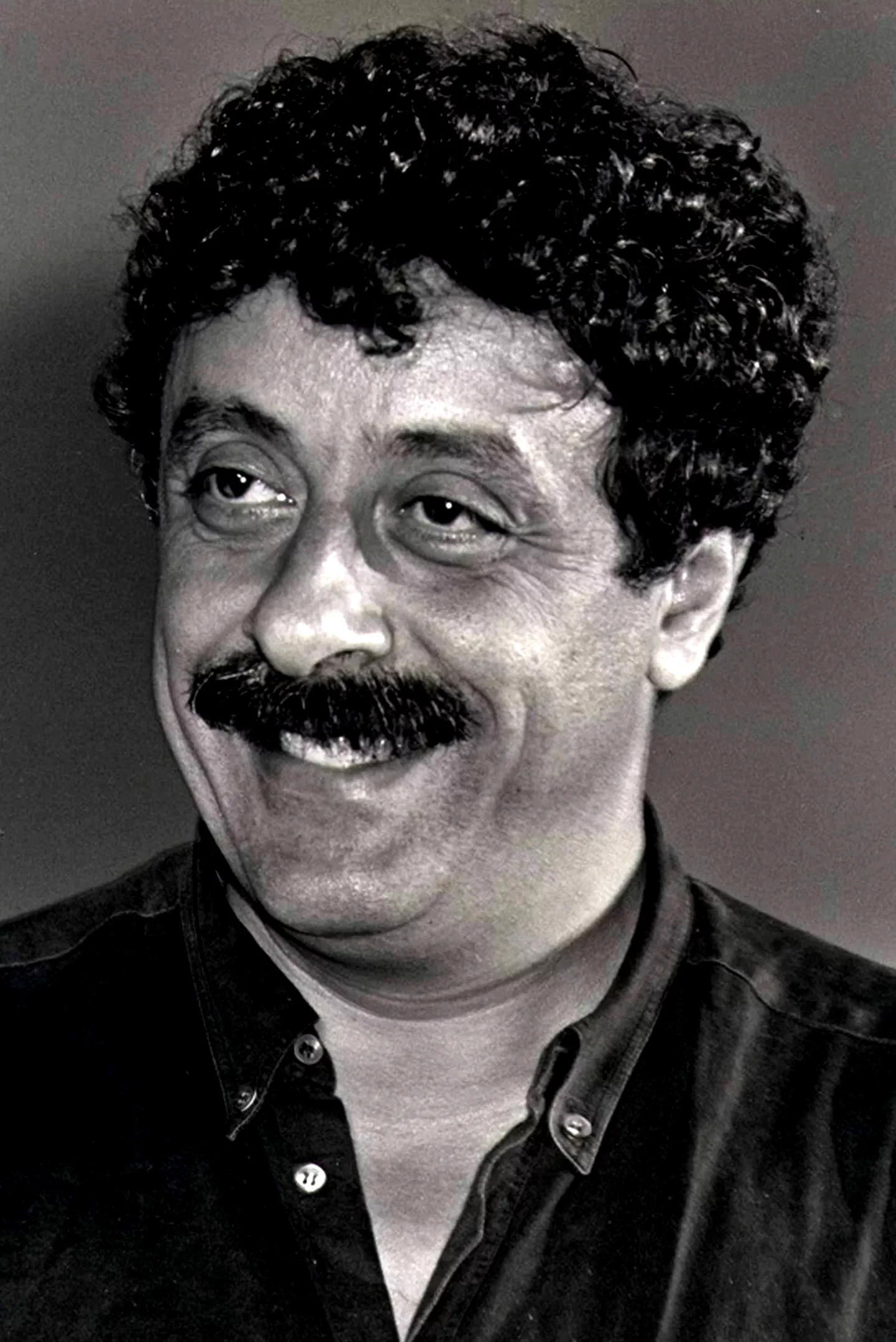  Meme Perlini