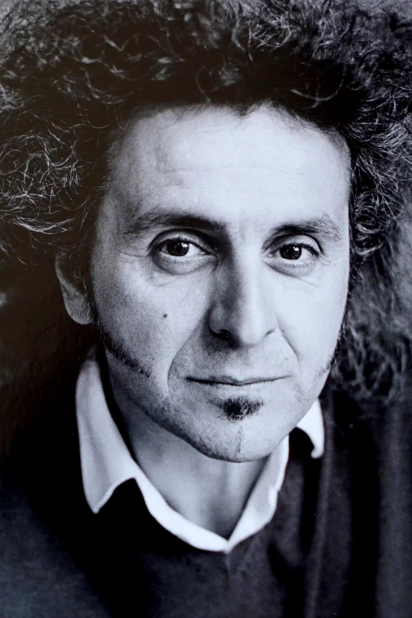 Donato Rotunno