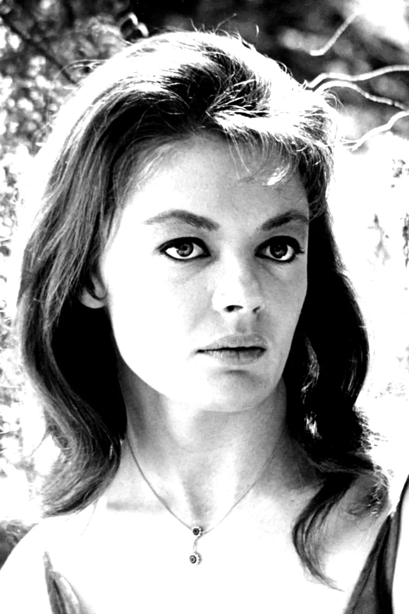  Sheree North