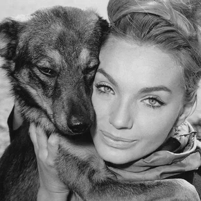 Photo star : Maria Perschy