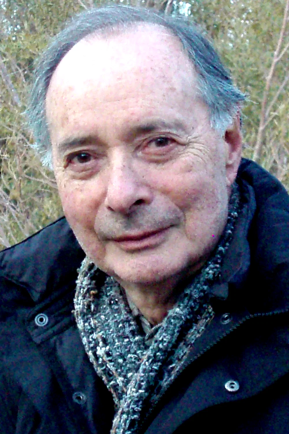 Allan Miller
